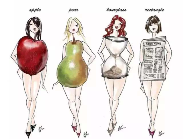 four body shape