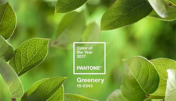 greenery color of 2017 year