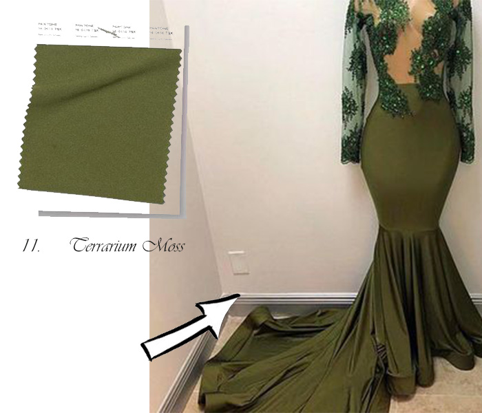 2019 prom dresses in Terrarium Moss color